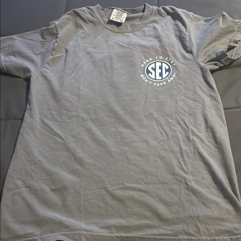 Gray Men's T-Shirt
